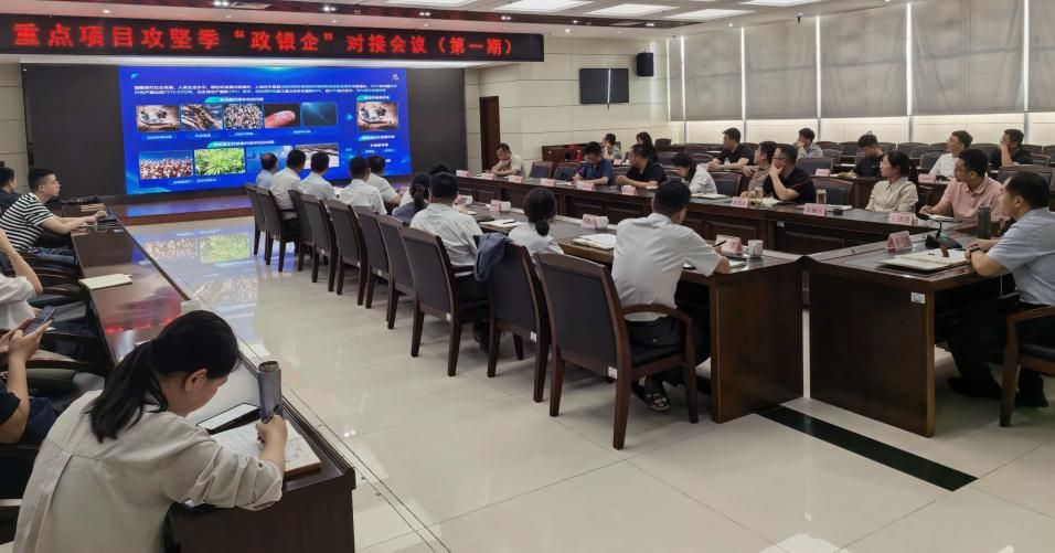 图片9