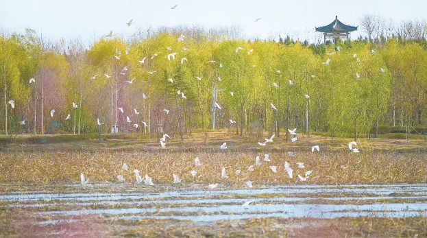 图片6
