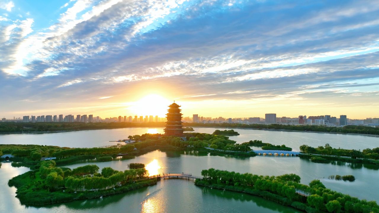 图片8