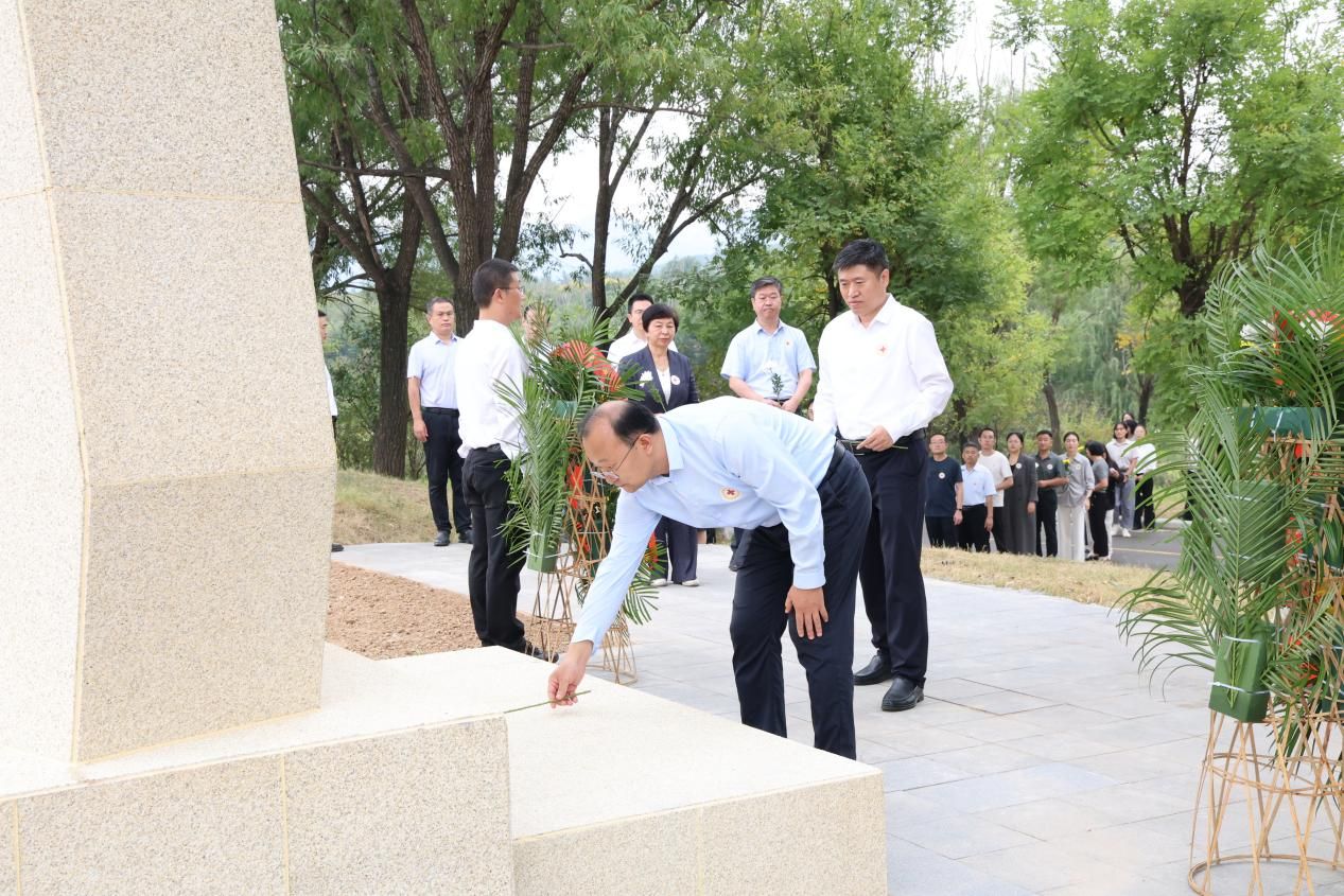 图片7