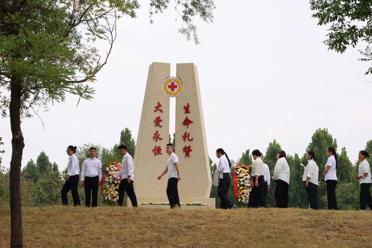 图片9