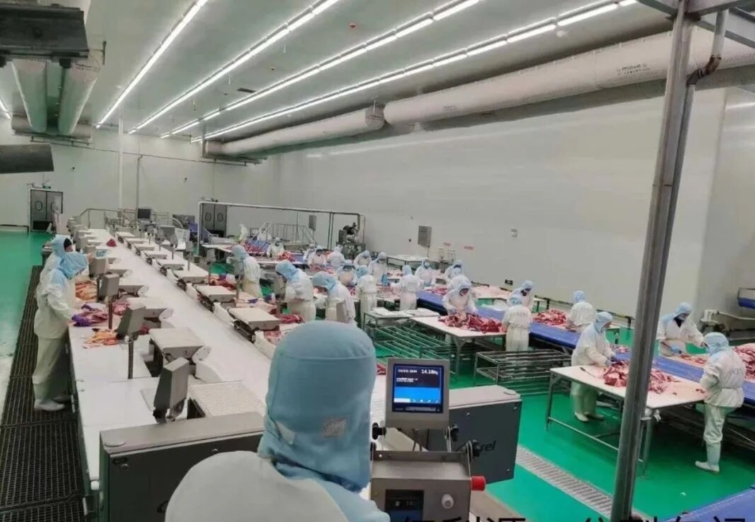 微信图片_20260930192430_352_105