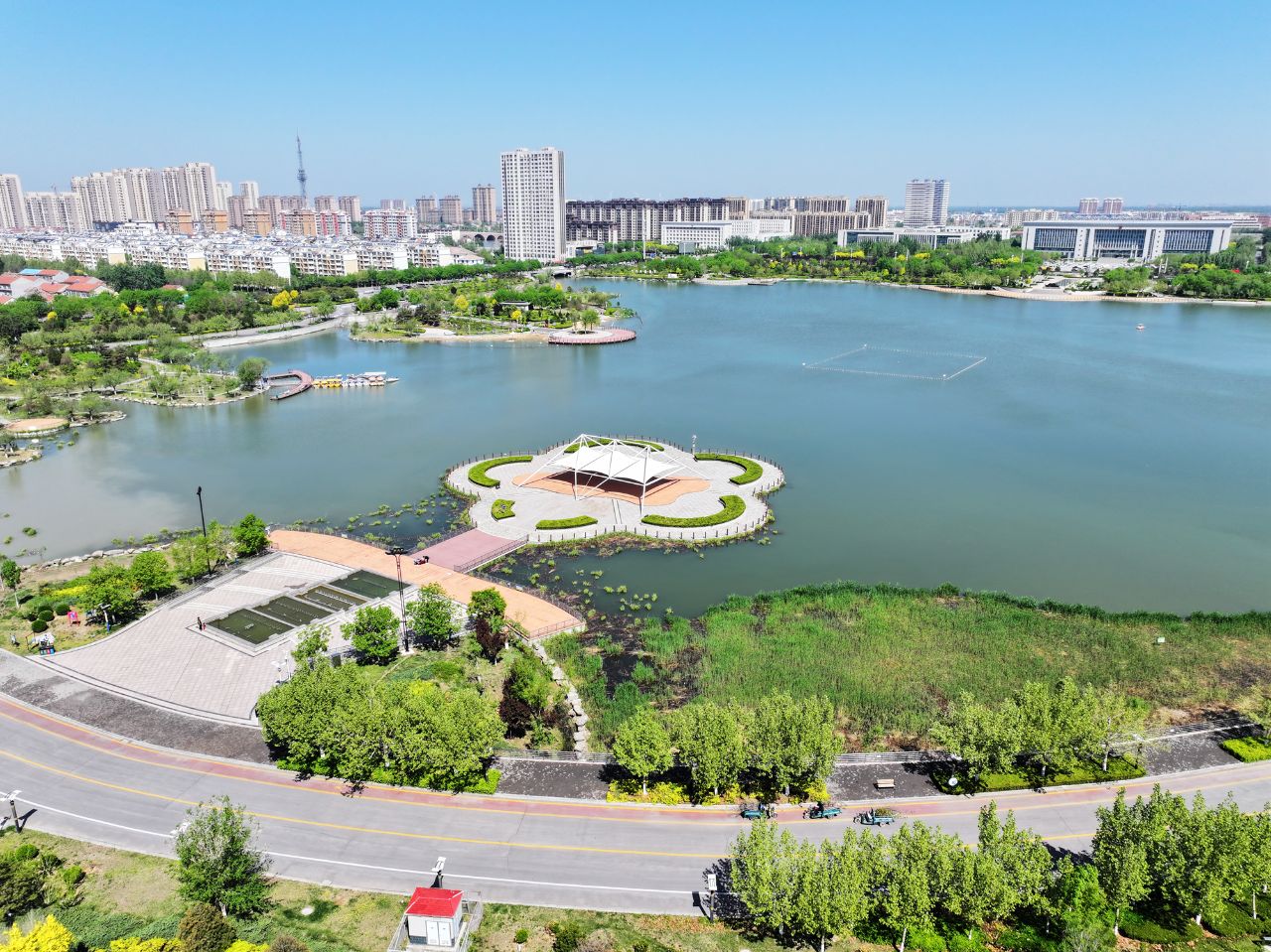 图片2